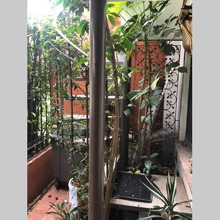 Amplia Habitacion Tipo Ejecutiva Con Bano Y Acceso Privados Τολούκα Εξωτερικό φωτογραφία