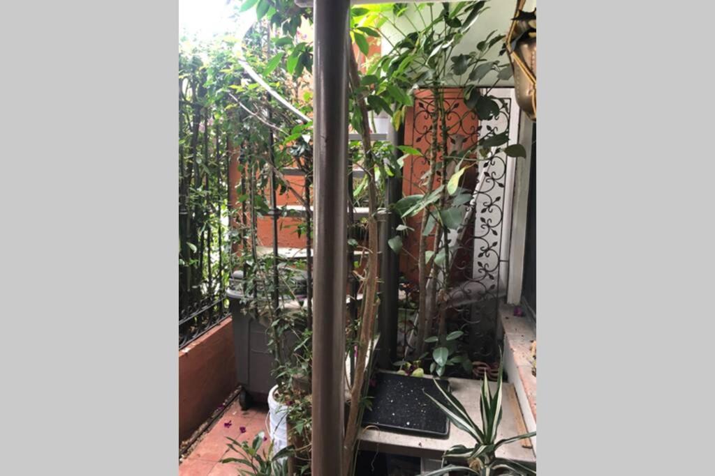 Amplia Habitacion Tipo Ejecutiva Con Bano Y Acceso Privados Τολούκα Εξωτερικό φωτογραφία