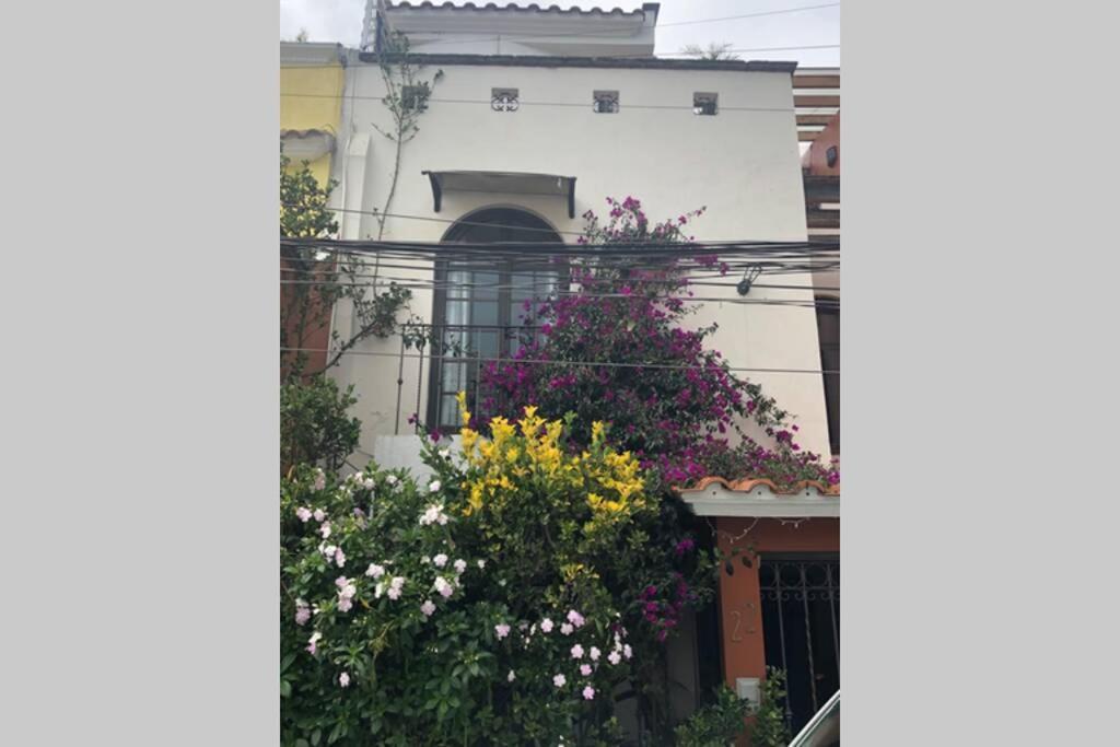 Amplia Habitacion Tipo Ejecutiva Con Bano Y Acceso Privados Τολούκα Εξωτερικό φωτογραφία